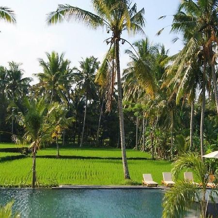 Bhanuswari Villas Ubud Dış mekan fotoğraf
