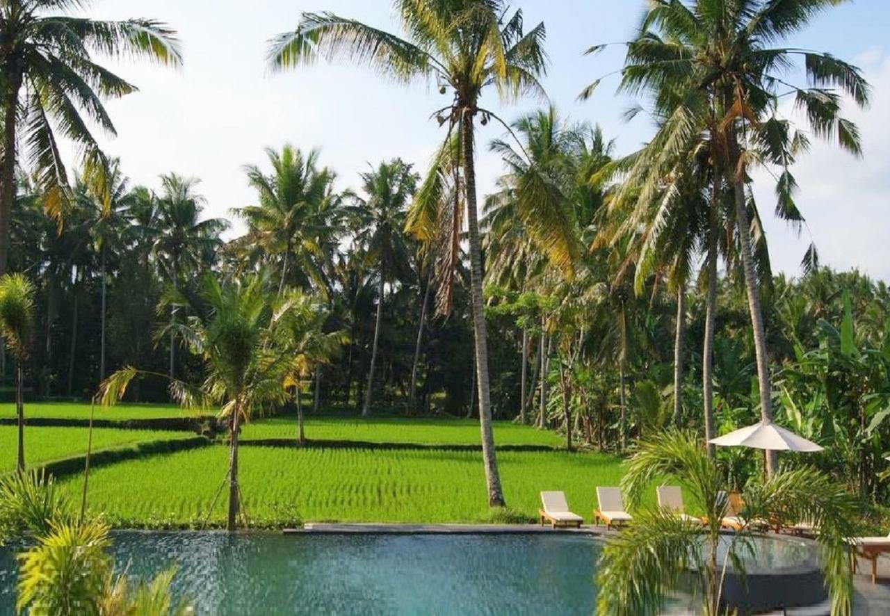 Bhanuswari Villas Ubud Dış mekan fotoğraf